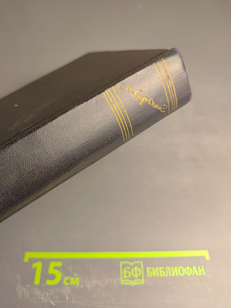 Жизнь Клима Самгина. Том 22