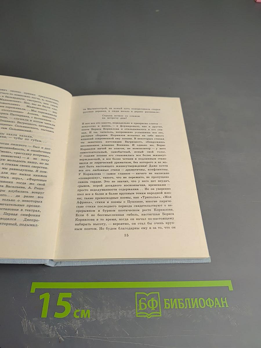 Избранная лирика