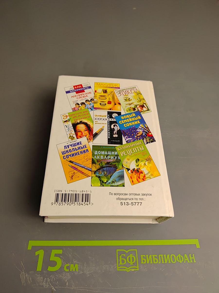 Интернет для начинающих