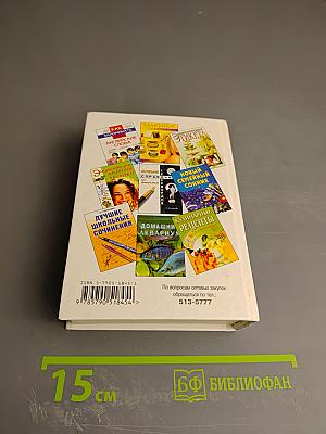 Интернет для начинающих