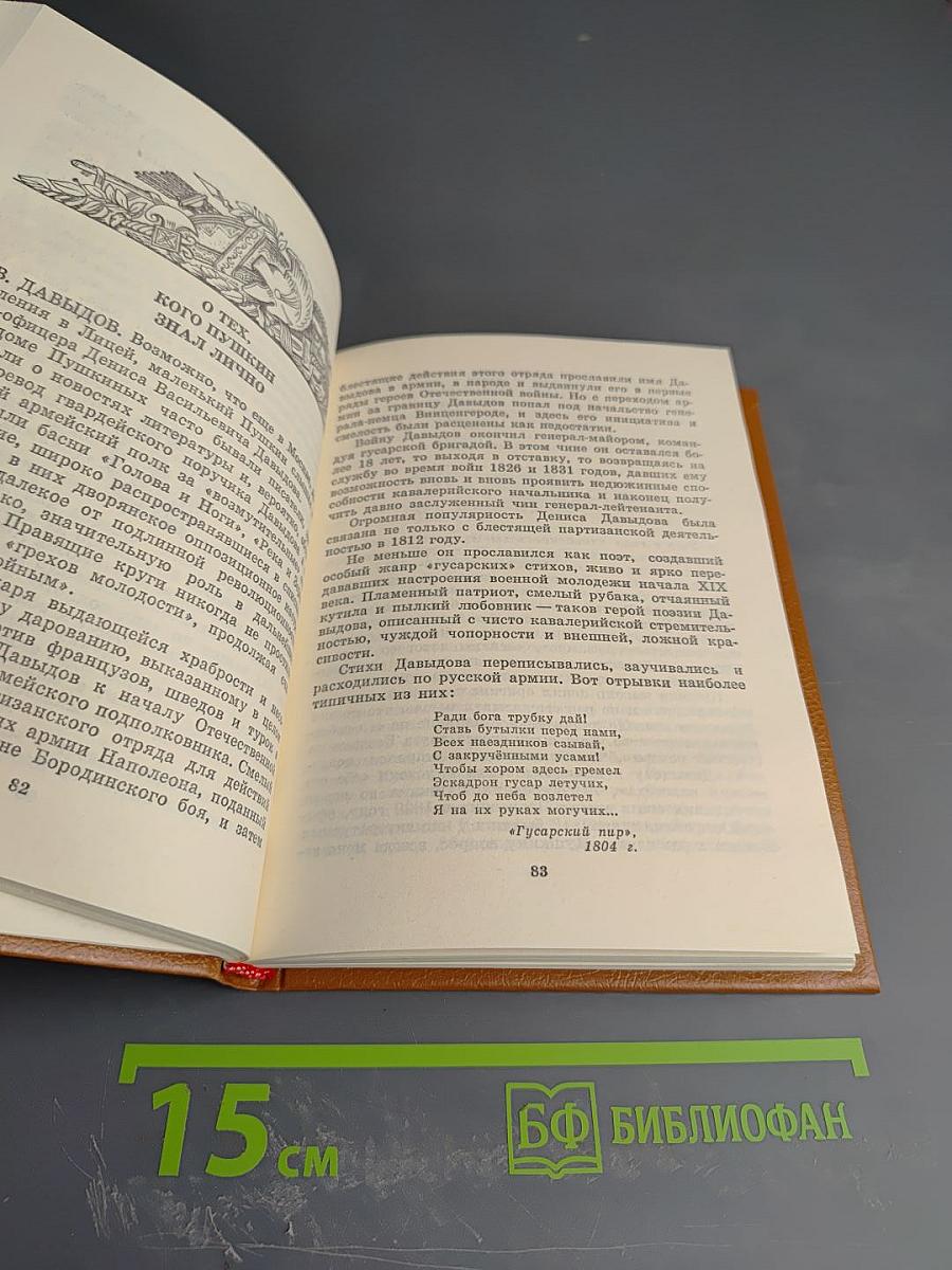 Пушкин и Военная галерея Зимнего дворца