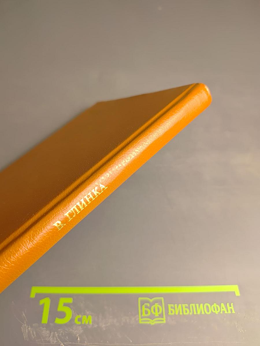 Пушкин и Военная галерея Зимнего дворца