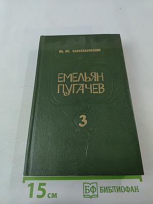 Емельян Пугачев. Книга 3