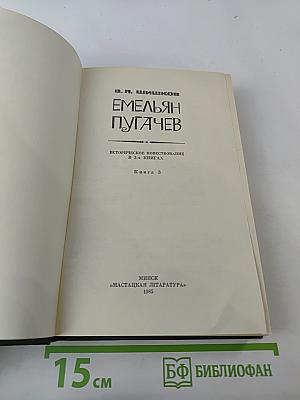 Емельян Пугачев. Книга 3