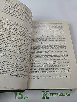 Емельян Пугачев. Книга 3