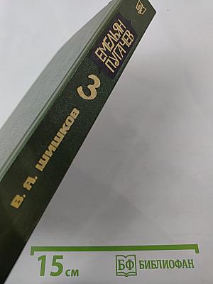 Емельян Пугачев. Книга 3