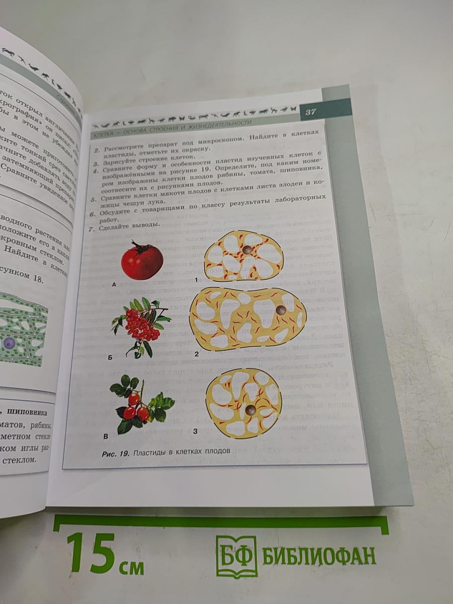 Биология 5-6 классы