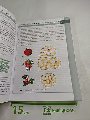 Биология 5-6 классы