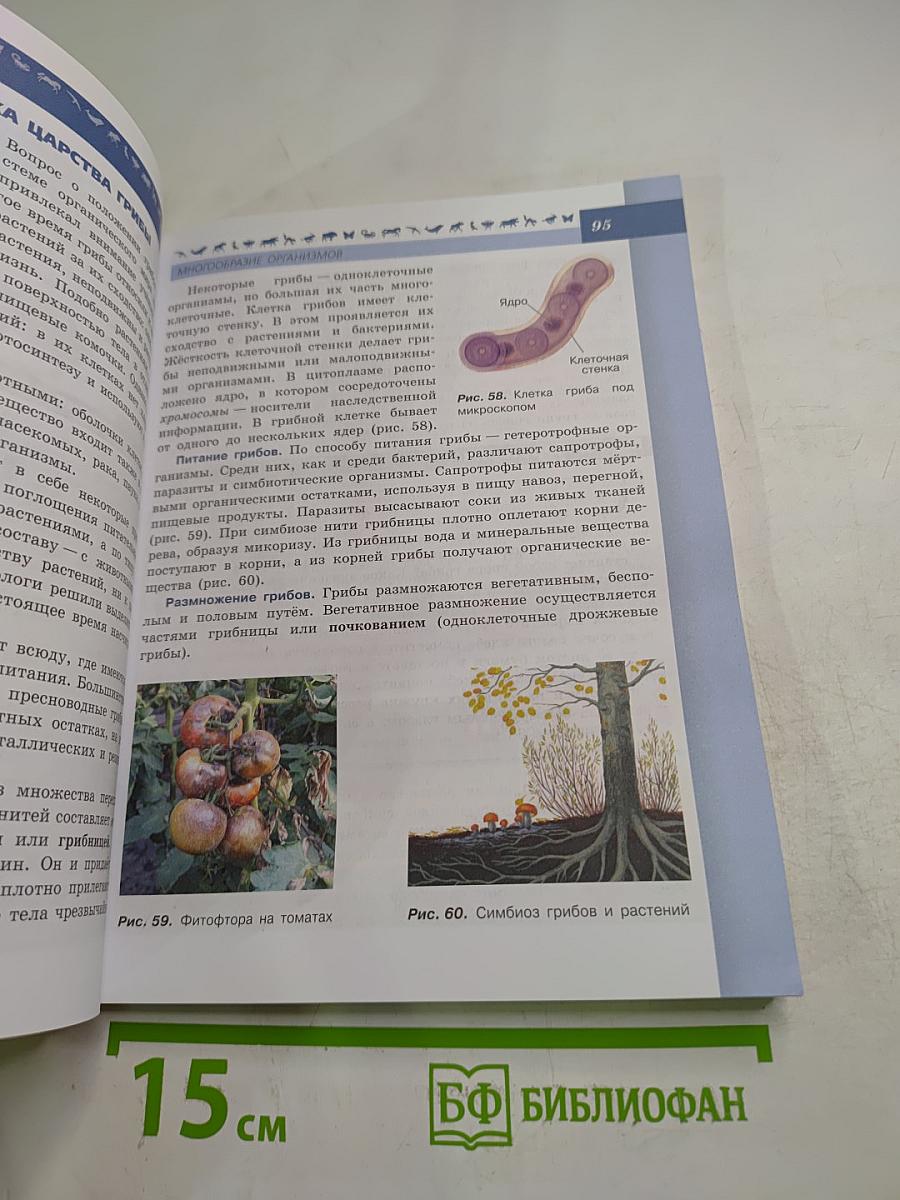 Биология 5-6 классы