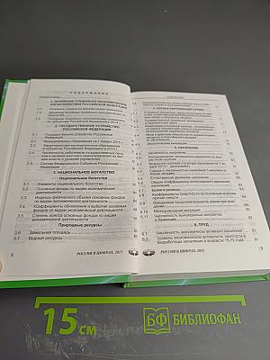 Россия в цифрах 2015. Краткий статистический сборник