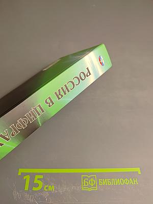 Россия в цифрах 2015. Краткий статистический сборник