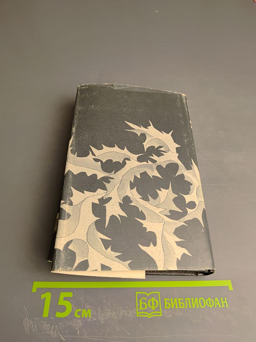 Дорогой крови по дороге к Богу