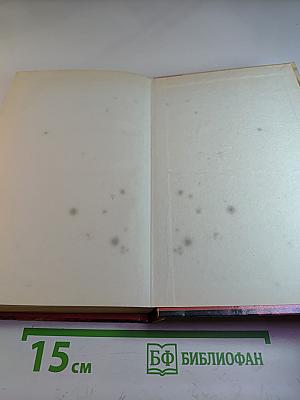 Гордость захватчика