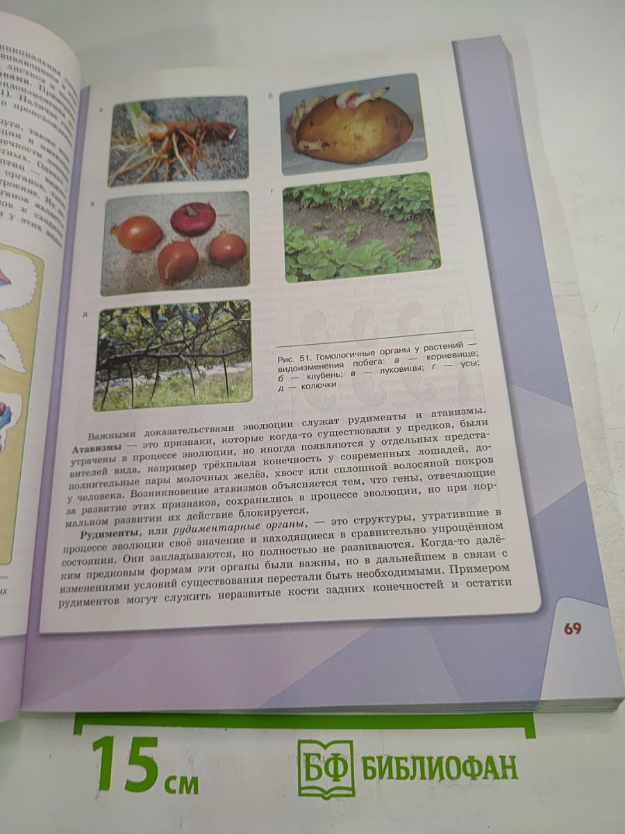 Биология. 11 класс. Учебник. Базовый уровень