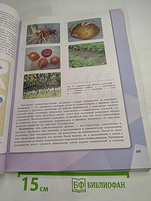 Биология. 11 класс. Учебник. Базовый уровень