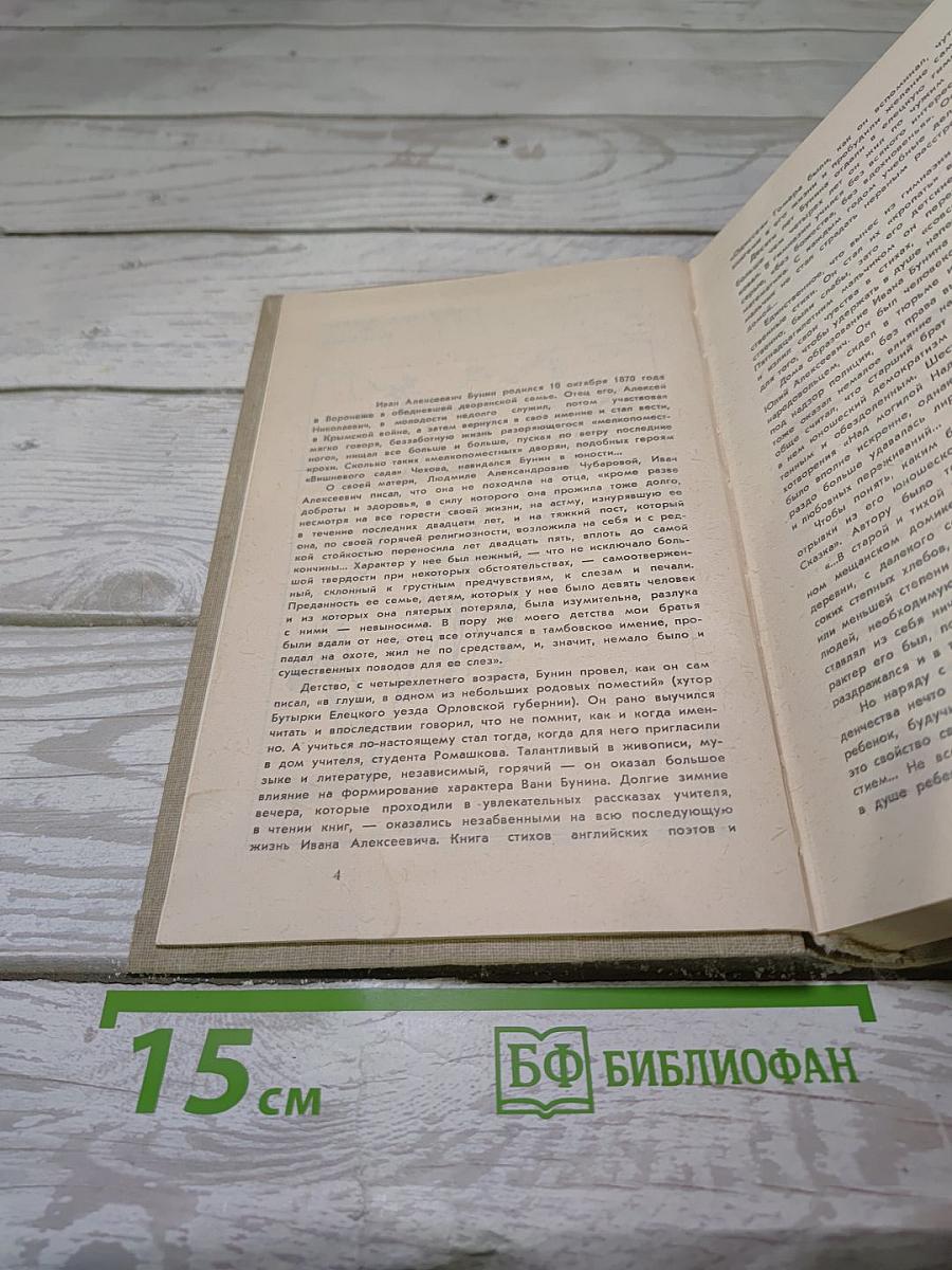 Жизнь Арсеньева