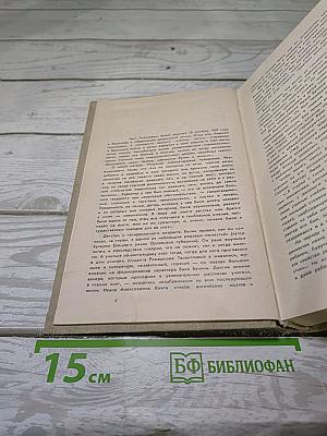 Жизнь Арсеньева