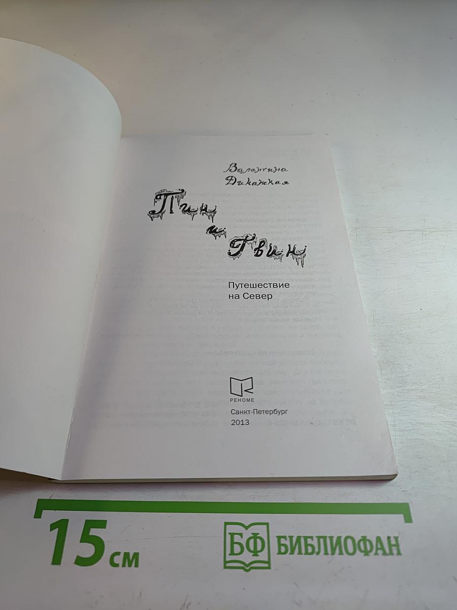 Пин и Твин. Путешествие на Север