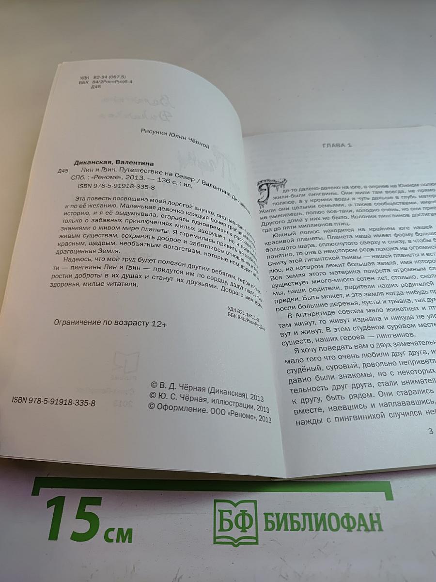 Пин и Твин. Путешествие на Север
