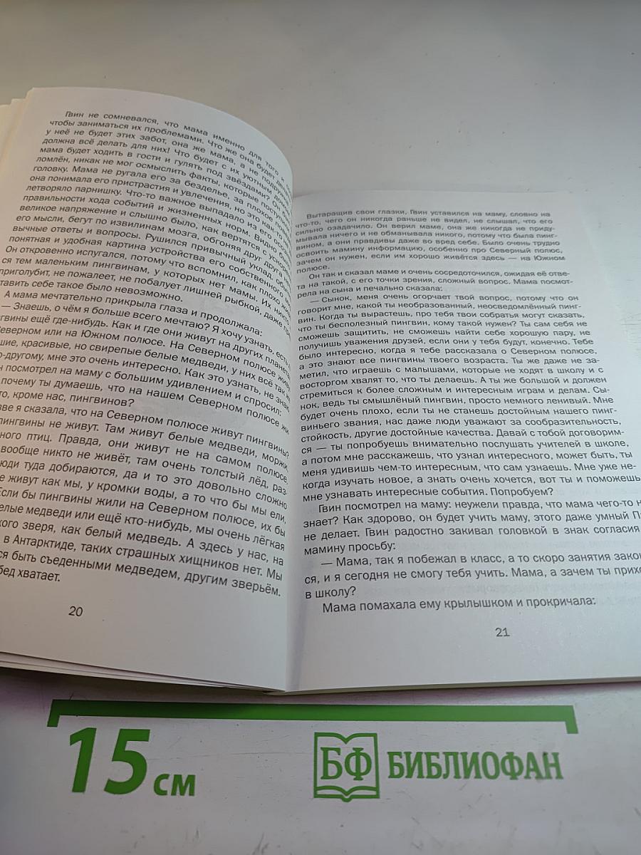 Пин и Твин. Путешествие на Север