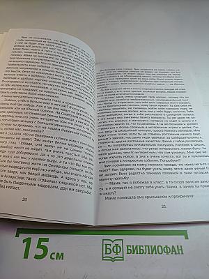 Пин и Твин. Путешествие на Север