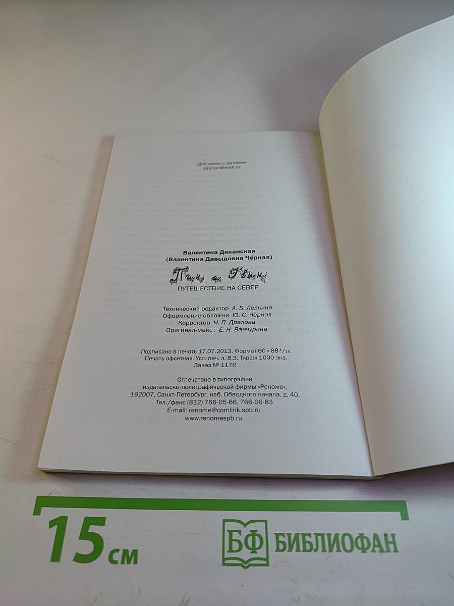 Пин и Твин. Путешествие на Север