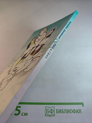 Пин и Твин. Путешествие на Север