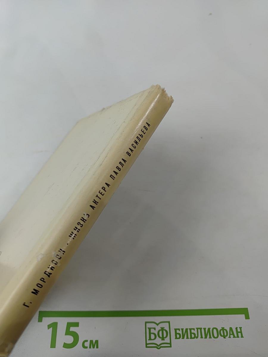 Жизнь актера Павла Васильева