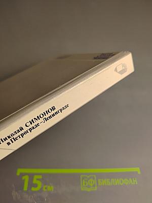 Николай Симонов в Петрограде-Ленинграде