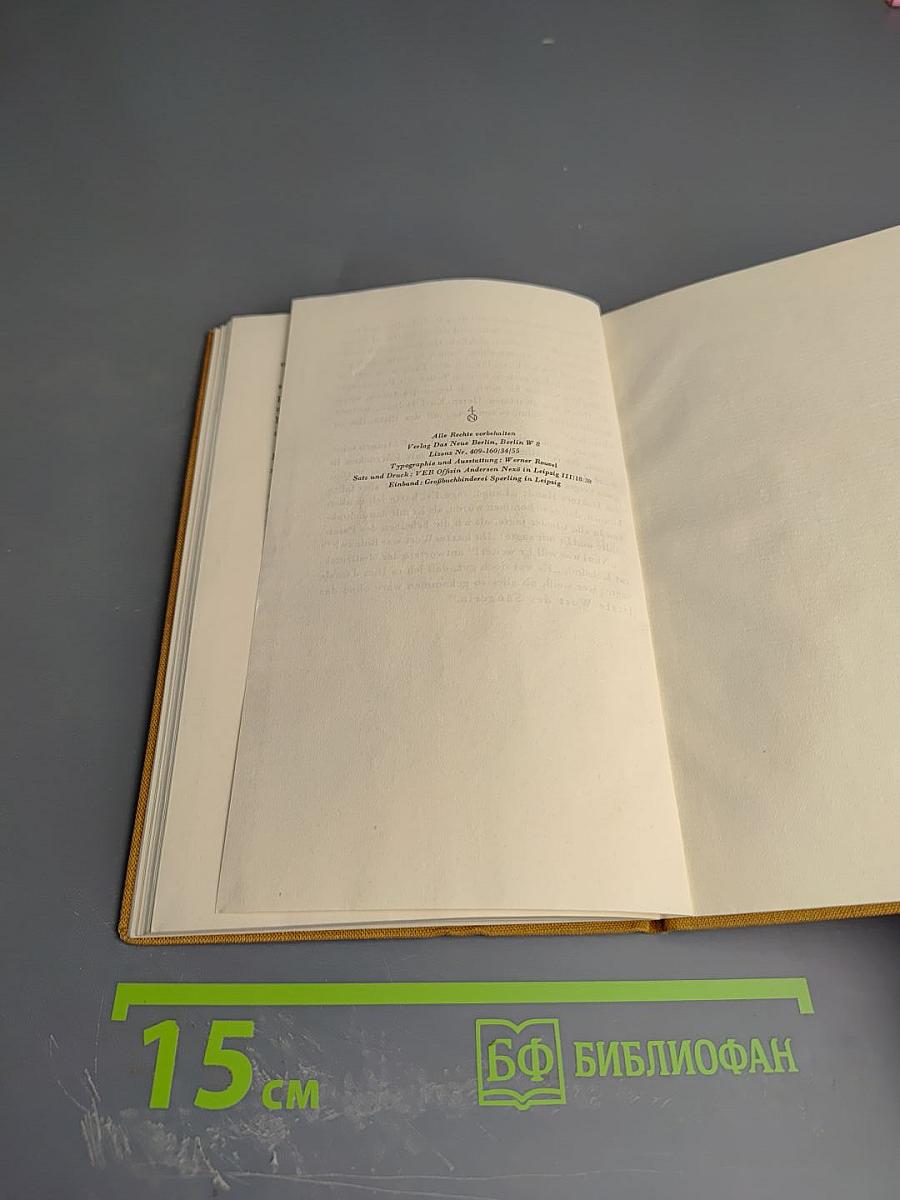 Die Sängerin (Berlinerische Miniaturen)