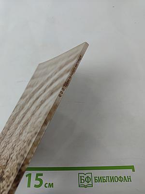 Тайны прошлого настоящего. Книга 2