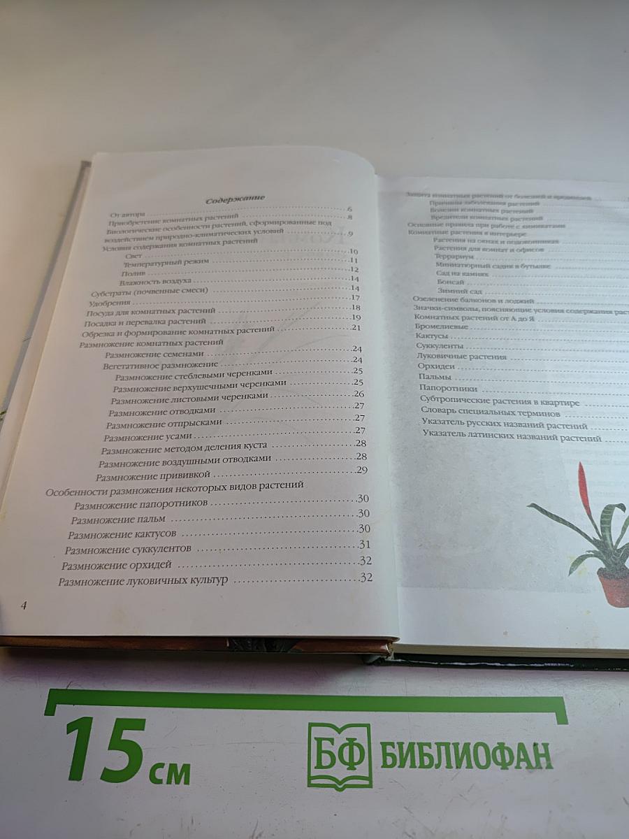 Комнатные растения: Новое руководство по уходу