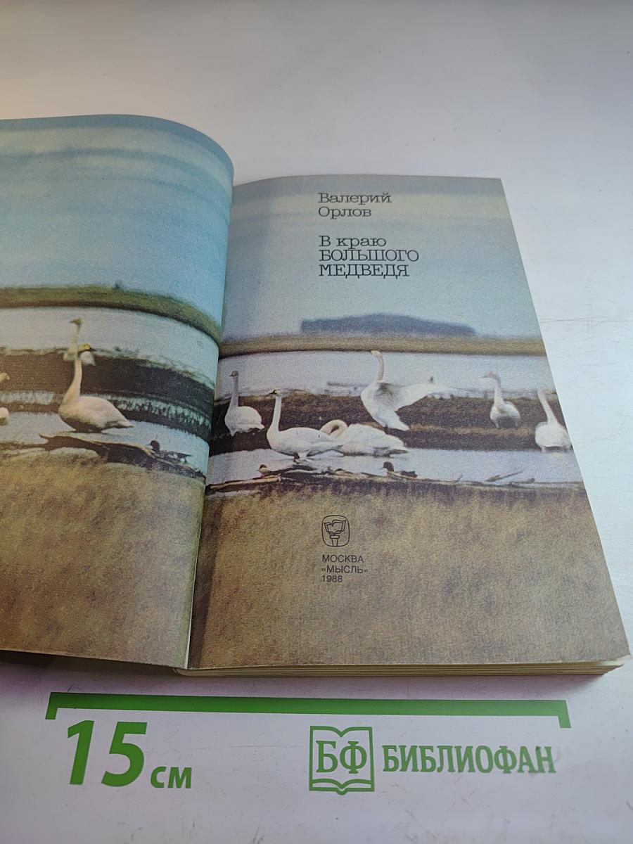 В краю большого медведя