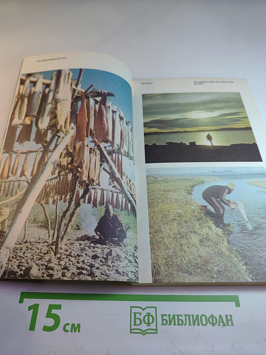 В краю большого медведя