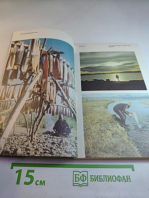 В краю большого медведя