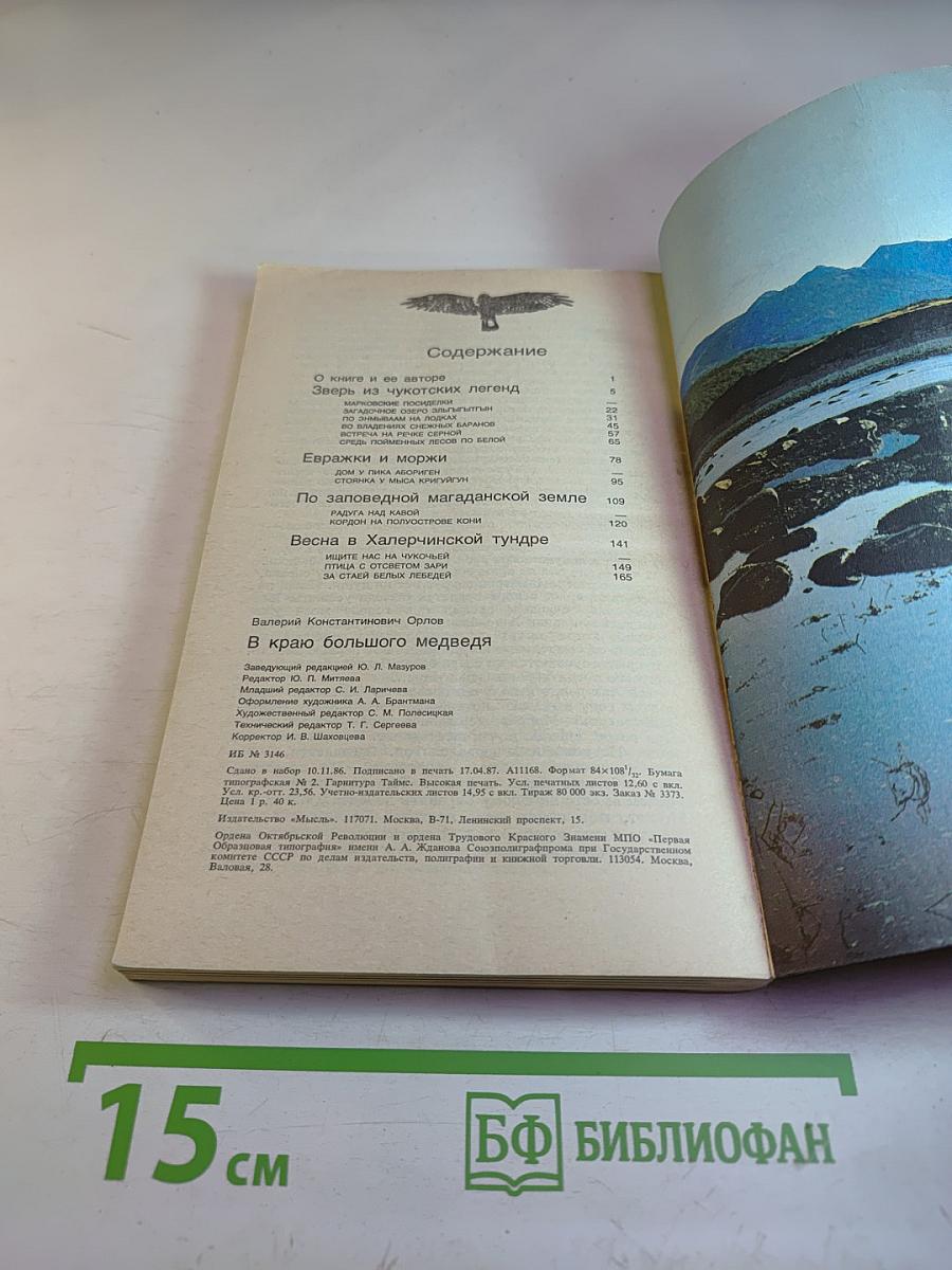 В краю большого медведя