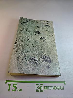 В краю большого медведя