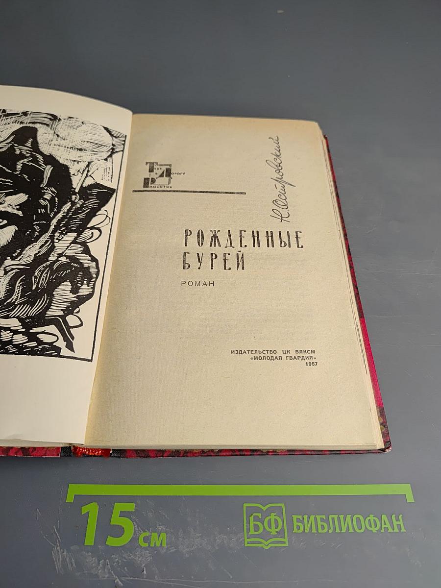 Рожденные бурей