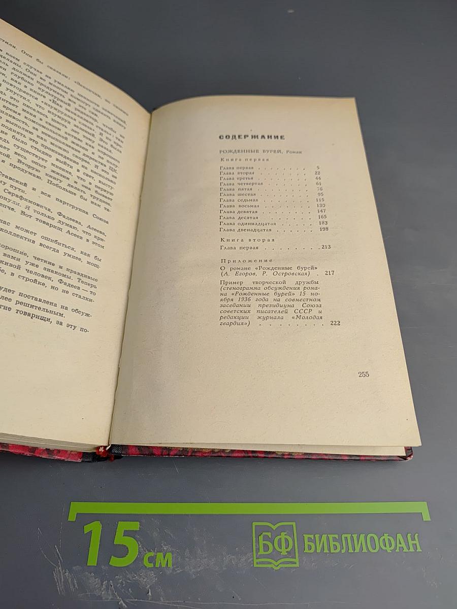 Рожденные бурей