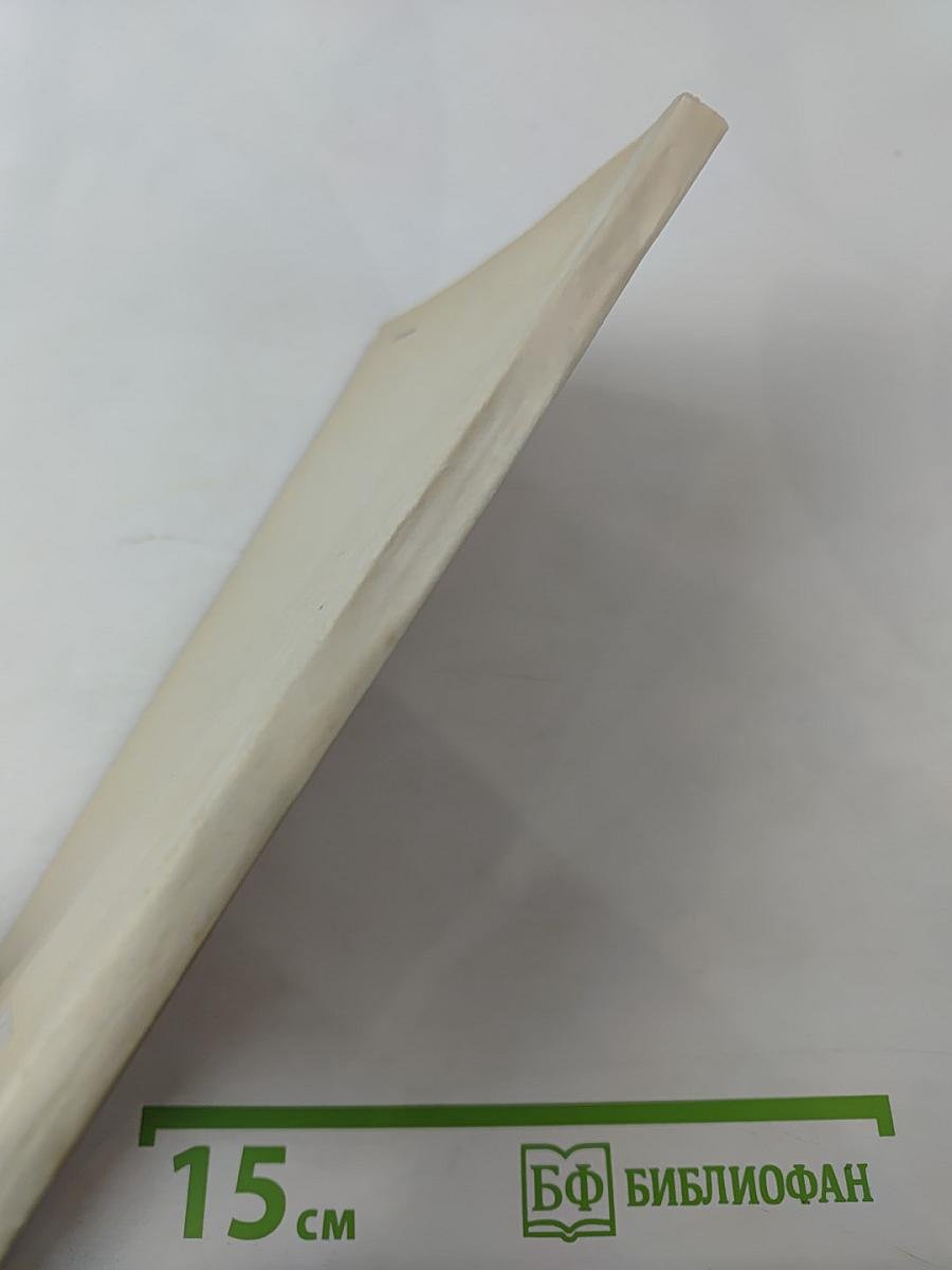 Присяга на верность