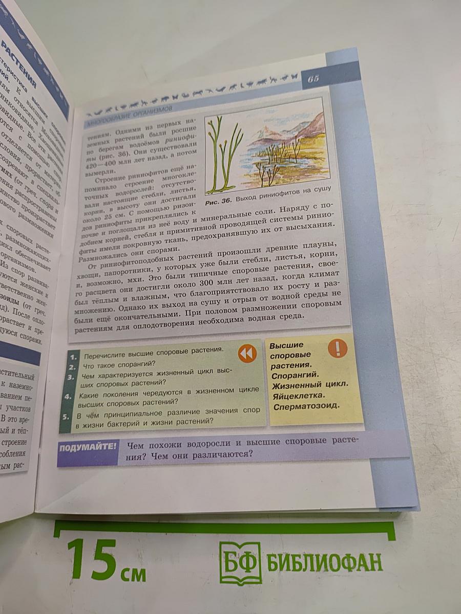 Биология 5-6 классы