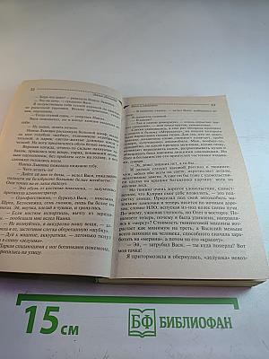 Муха в самолете