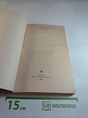 Ледяной дом