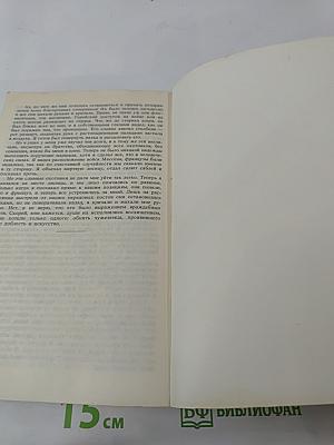 Нокаут на шестой минуте