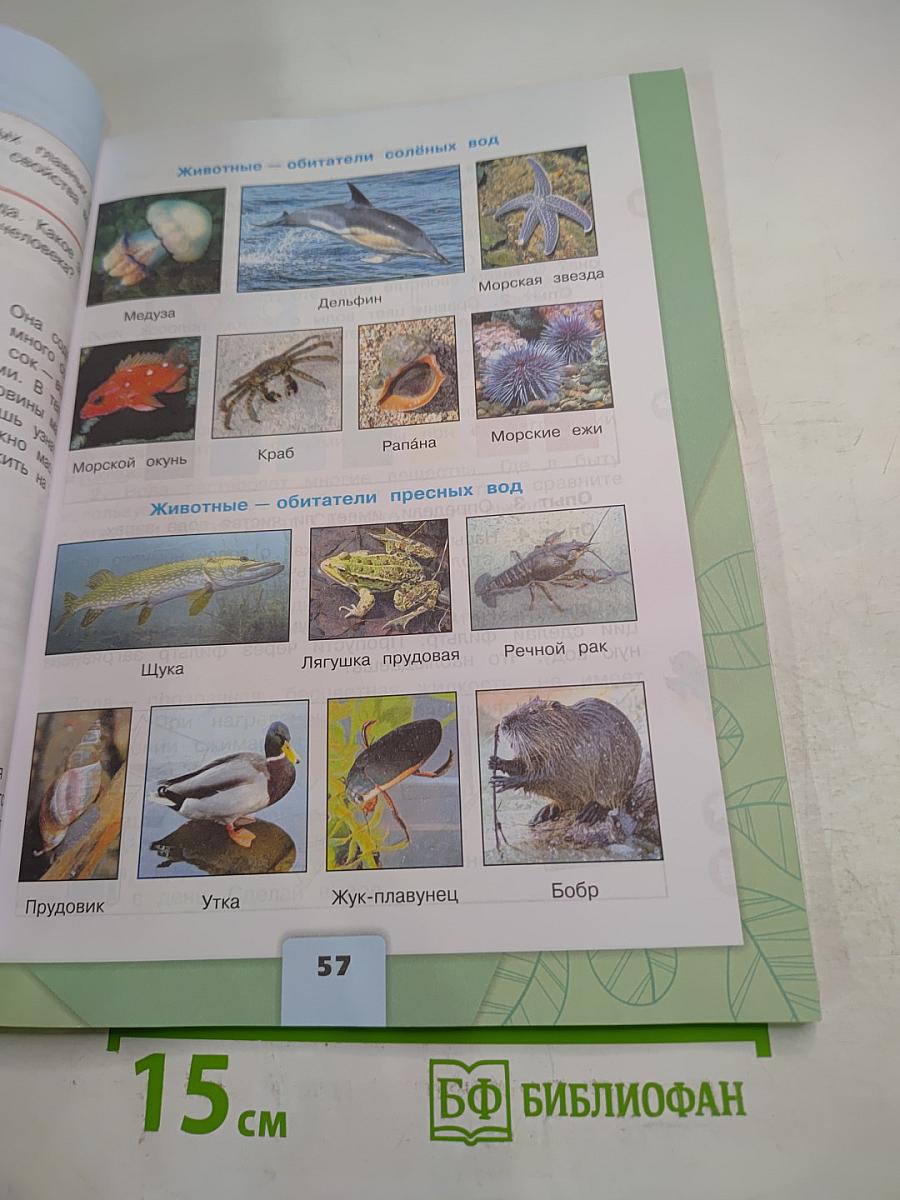 Окружающий мир 3 класс Часть 1