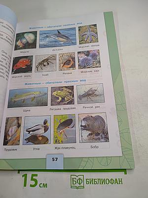 Окружающий мир 3 класс Часть 1