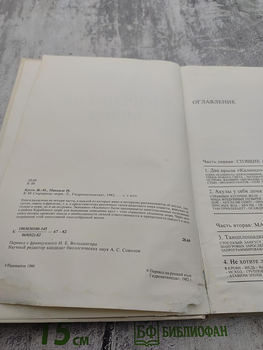 Сюрпризы моря