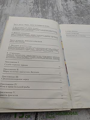 Сюрпризы моря