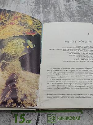 Сюрпризы моря