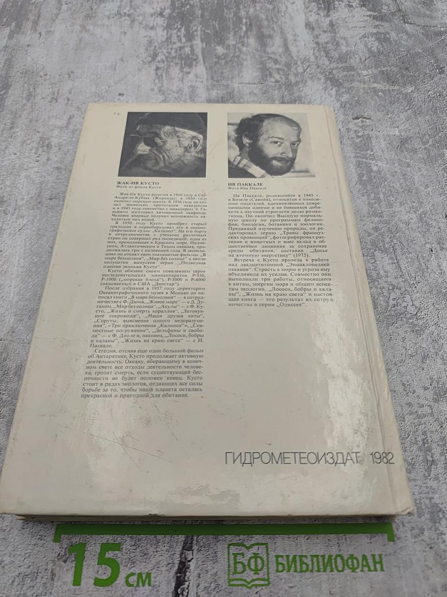 Сюрпризы моря